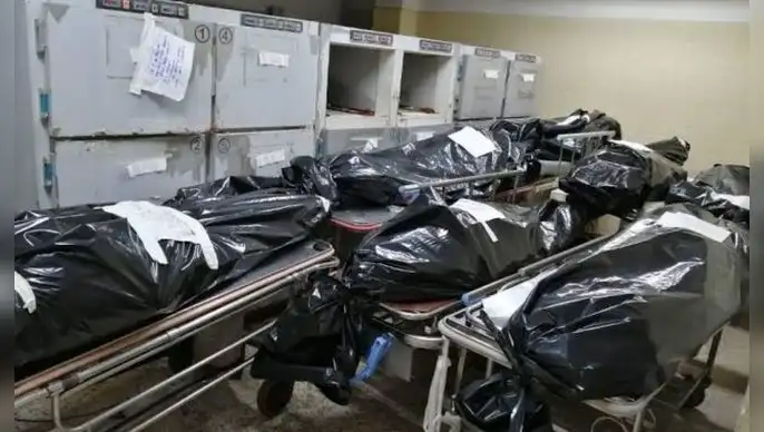 El Gobierno aprobó nuevos "Lineamientos para la Gestión y el Manejo de Cadáveres y Restos Humanos" en situaciones de emergencias y desastres, según la Resolución N.° 005-2026-PCM/SGRD. El Gobierno aprobó nuevos "Lineamientos para la Gestión y el Manejo de Cadáveres y Restos Humanos" en situaciones de emergencias y desastres, según la Resolución N.° 005-2026-PCM/SGRD.
