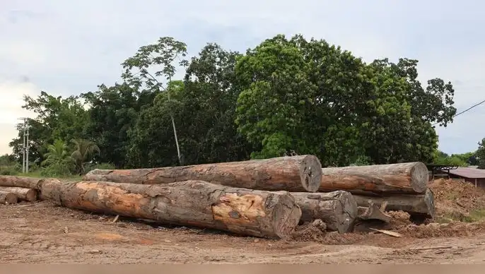 Expo Amazónica Ucayali 2026 propuestas para enfrentar el fenómeno El Niño