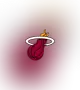 Miami Heat