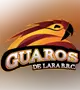 Guaros