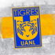 Tigres