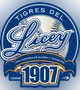 Tigres del Licey