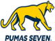 Los Pumas 7