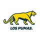 Los Pumas