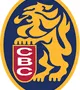 Leones del Caracas