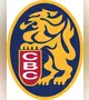 Leones del Caracas
