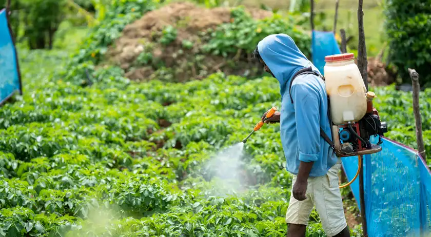 Sembrando alimentos, ¿cosechando riesgos de cáncer?, por Javier Herrera