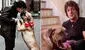Stallone y su perro Butkus: de venderlo para sobrevivir a recuperarlo gracias a “Rocky”
