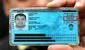 ¿Cómo saber la fecha de emisión de mi DNI por internet? Paso a paso vía Reniec