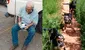 Rescatan a hombre de 103 años de incendio en Chile, pero sus perros no logran escapar