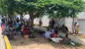 Más de 3.000 postulantes rinden examen de admisión a la Universidad Agraria La Molina