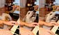 Perro se hace viral al cantar mientras su dueña toca el piano: “Mejor que Bad Bunny”