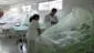 Hospitales al límite por los casos de dengue