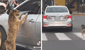 Perrito persigue a un taxi desesperadamente y es viral en redes sociales