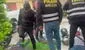 Los Olivos: caen 3 extorsionadores dedicados a la modalidad del 'gota a gota'