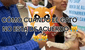 Gatito tiene inusual reacción cuando revelan que el perro es más tranquilo: “Qué ternura”