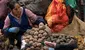 PLATOS típicos por el Día del Campesino: ideas de COMIDAS y loncheras para preparar este 24 de junio