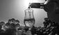El pisco entre las PEORES bebidas alcohólicas del mundo, según Taste Atlas