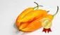 El ají amarillo es declarado como el mejor vegetal del mundo, según Taste Atlas