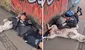 Perrito se queda dormido junto con su dueño en plena calle: “Eso es ser amigos”