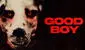 'Good Boy 2023', la película del hombre disfrazado de perro: ¿dónde ver ONLINE GRATIS?