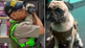 Cercado de Lima: perrito atacado por su dueño tiene hematoma en el vientre, según la Policía