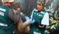 Veterinario rescató a venada en gestación, que era atacada por perros en Huancayo