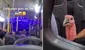 ¡Solo en Perú! Captan a pavo viajando en bus y usuarios reaccionan: “Ya se siente la Navidad”