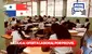 Docentes MEDUCA: ¿cómo postularme a las vacantes en Primaria y Secundaria con PROVEL?