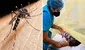 ¿Cuáles son las mejores medidas para prevenir el dengue y cómo diferenciarlo de una gripe?