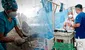 Piura será declarada en emergencia por incremento del dengue: ¿cuántos casos se reportan?