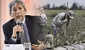 MEF descarta "rescate" total de la Ley Chlimper, pero adelanta reforma laboral del agro