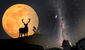 Luna de ciervo, 2 lluvias de estrellas y alineación planetaria: los deslumbrantes eventos astronómicos de julio