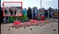 Bloquean con cebollas frontera Perú-Chile: trabajadores de Senasa exigen mejora en sueldos