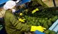 Agroexportaciones peruanas sumaron US$6.755 millones entre enero y agosto