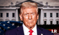 Donald Trump fue elegido como presidente de Estados Unidos tras vencer a Kamala Harris con 277 votos electorales