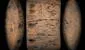 Descubren símbolos de 6.000 años de antigüedad que revelaría el origen del sistema de escritura más antiguo del mundo