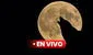 Luna llena enero 2025 en Venezuela: a qué hora y cómo ver la Luna del Lobo