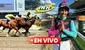 Resultados del 5y6 La Rinconada HOY, domingo 23 de febrero: conoce a todos los ganadores de las carreras en Caracas