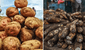 No es ni la yuca ni la papa: el tubérculo que fortalece la memoria y casi nadie consume, ¿cómo incluirlo en tu dieta?