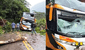 Pasajeros salvan de morir luego de que árbol caiga sobre bus de Movil Bus en Pasco
