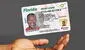 Florida: FLHSMV confirma que no le dará la Real ID a quienes no presenten estos documentos en 2025