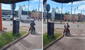 Perrito callejero sorprende al subirse a la moto de un desconocido: "Se adoptó solito"