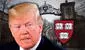Trump amenaza a Harvard con retirarle otros US$3.000 millones y dárselos a escuelas técnicas en todo EEUU: "Al final, ganará el gobierno"
