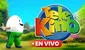 Controlar Telekino 2378 EN VIVO, 1 de junio: consultar con número de cartón los resultados de hoy y a qué hora sale el Rekino
