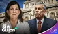 RMP sobre nuevo dictamen que permite hacer campaña política a congresistas: "Ni con semana de representación los van a reelegir"
