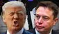 Del amor al odio: las 4 claves que explican la ruptura política entre Trump y Musk tras ataques en redes sociales