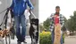 ¿Cuánto gana un paseador de perros en Lima? Nutricionista peruano dejó su carrera por esta ocupación por su alto salario