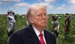 Excelentes noticias para inmigrantes en EEUU: Trump asegura que grupo clave de extranjeros ya no serán deportados
