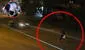 Cámaras captan a conductor fugándose luego de atropellar a hombre en SJL: transeúntes lo detuvieron